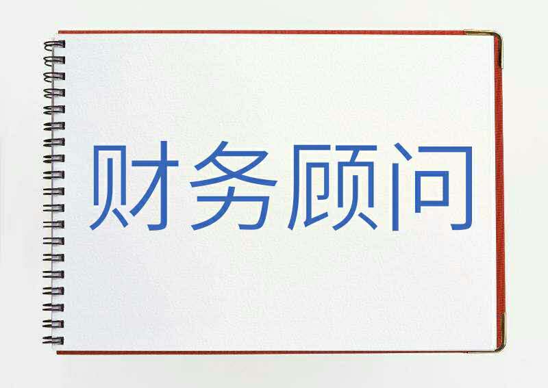 財務(wù)顧問公司(實施顧問可以轉(zhuǎn)財務(wù)嗎)